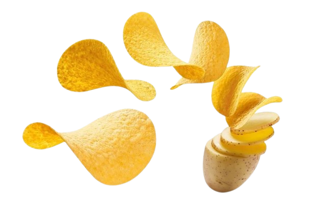 vector