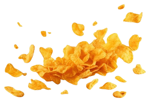 vector